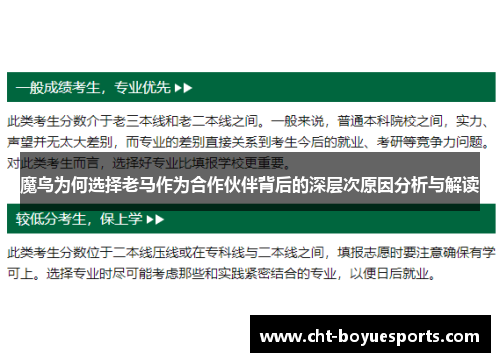 魔鸟为何选择老马作为合作伙伴背后的深层次原因分析与解读
